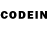 Галлюциногенные грибы GOLDEN TEACHER Diac Exec