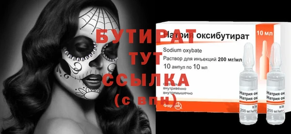 сатива Новозыбков