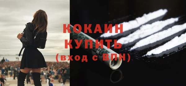 дмт Новодвинск