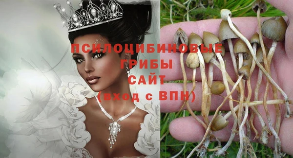 дмт Новодвинск