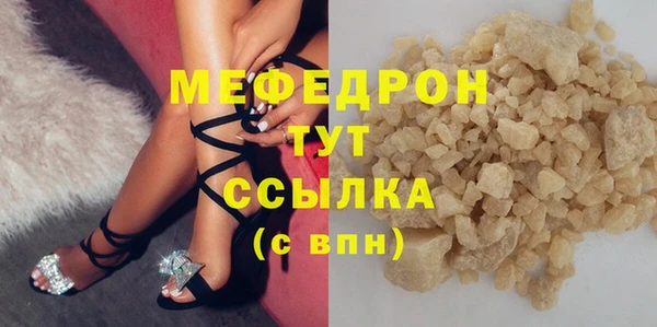 сатива Новозыбков